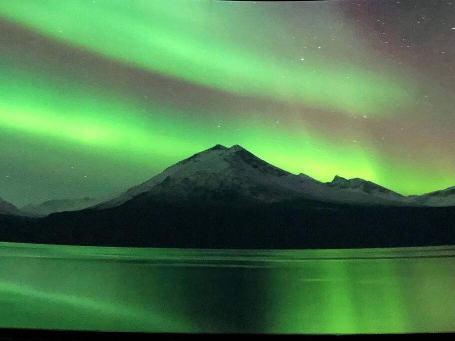 Northern Light ترومسو المظهر الخارجي الصورة